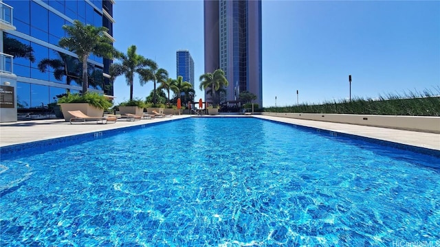 view of swimming pool