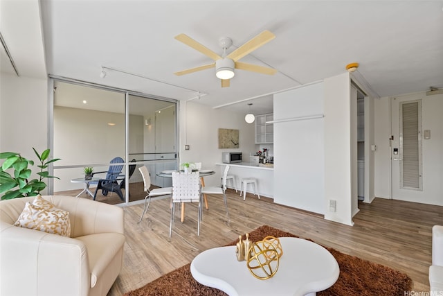 living area featuring wood finished floors and ceiling fan