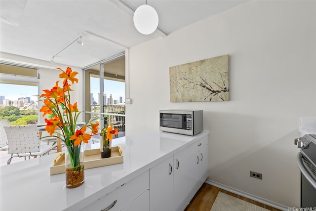 kitchen featuring stainless steel appliances, a skyline view, light countertops, baseboards, and dark wood finished floors