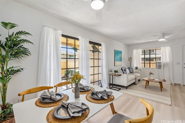 dining space featuring ceiling fan, a healthy amount of sunlight, light hardwood / wood-style floors, and a textured ceiling