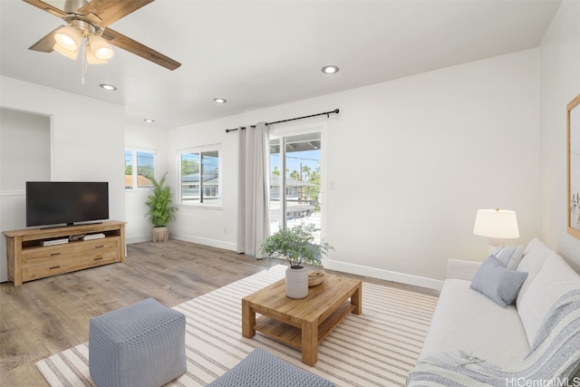 living room with ceiling fan and light hardwood / wood-style floors