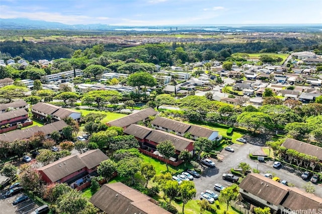 bird's eye view