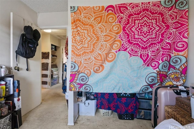 interior space with light colored carpet and a textured ceiling