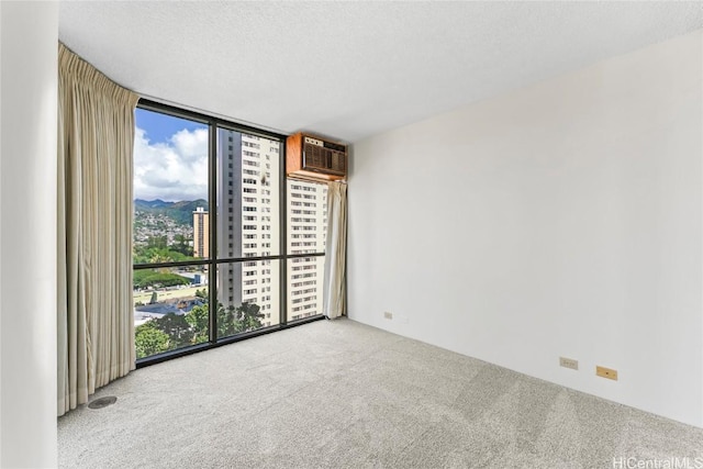 empty room featuring floor to ceiling windows, a wall mounted AC, carpet, and a wealth of natural light