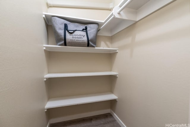 walk in closet featuring wood finished floors