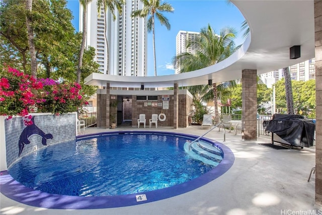 view of swimming pool with a bar, area for grilling, and a patio area