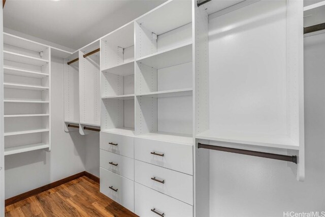 spacious closet featuring dark hardwood / wood-style flooring