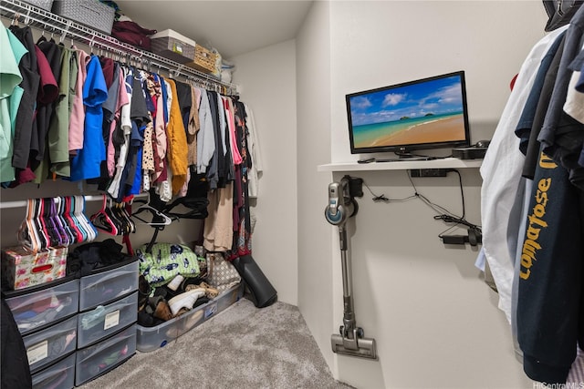 91-338 Makalea St Unit 52, Ewa Beach, HI 96706 - walk in closet with carpet flooring