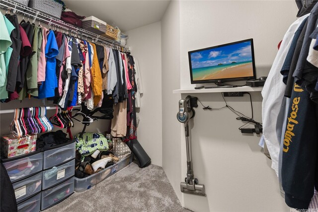91-338 Makalea St Unit 52, Ewa Beach, HI 96706 - walk in closet with carpet flooring