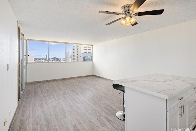 interior space featuring ceiling fan, a textured ceiling, and light wood-type flooring