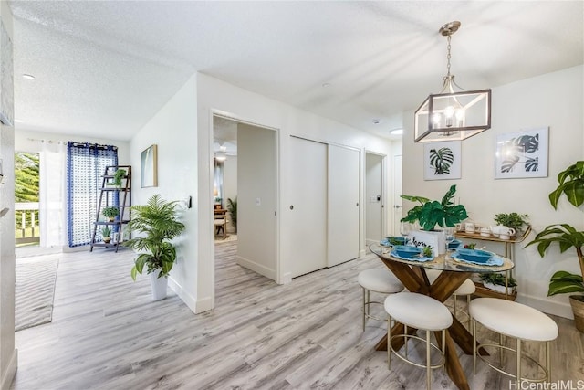 dining area featuring a textured ceiling and light hardwood / wood-style floors