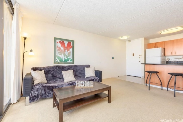 living room featuring light colored carpet and a textured ceiling