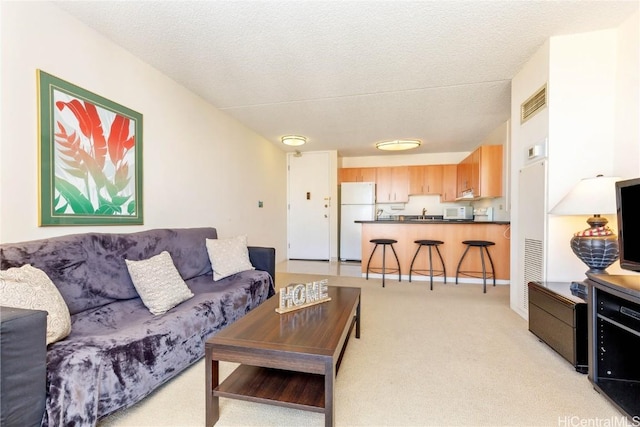 carpeted living room with a textured ceiling