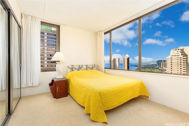 carpeted bedroom with a water view