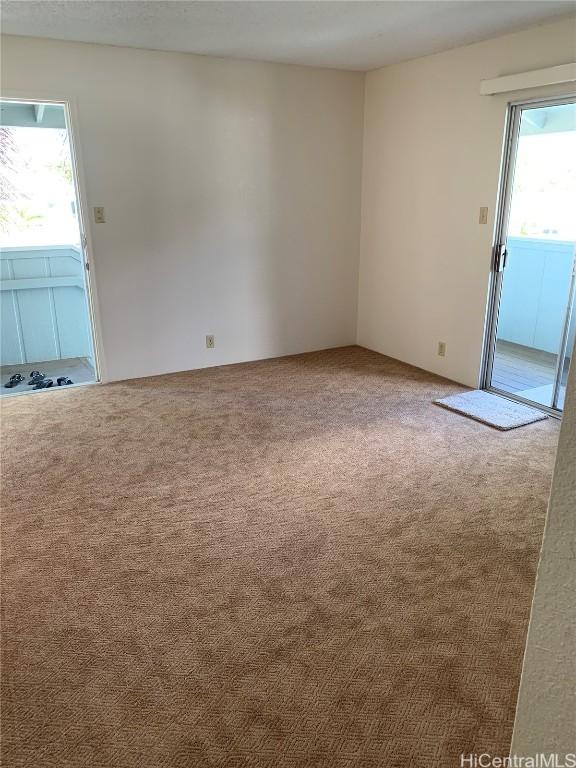 carpeted empty room with plenty of natural light