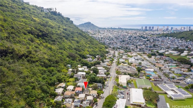 birds eye view of property featuring a mountain view