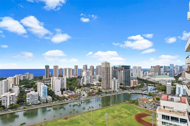 aerial view with a water view