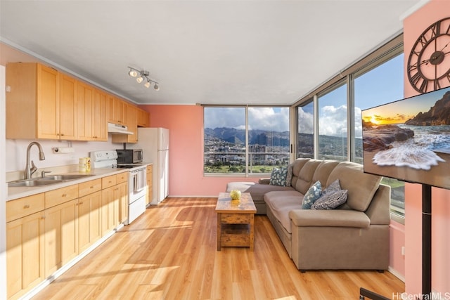 kitchen with sink, white appliances, a mountain view, light wood-type flooring, and light brown cabinets