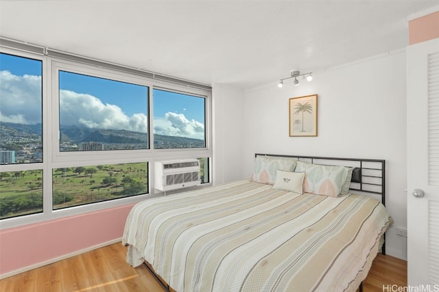 bedroom featuring wood finished floors and a wall mounted AC