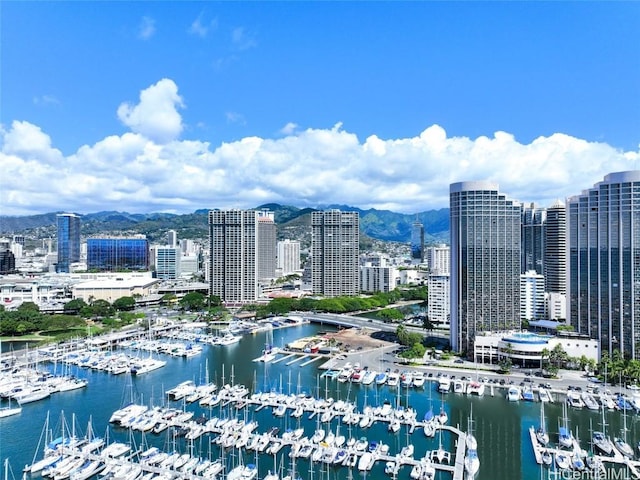 bird's eye view featuring a water and mountain view