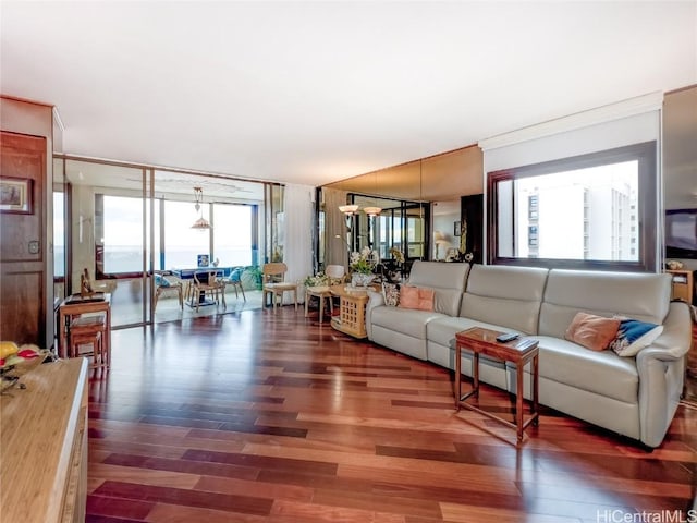 living room with floor to ceiling windows and dark hardwood / wood-style flooring