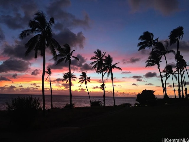 nature at dusk with a water view