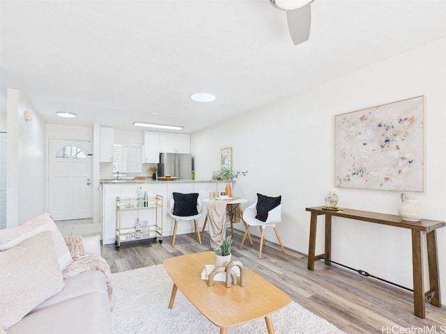 living room featuring light wood-style flooring