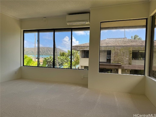 spare room featuring a textured ceiling, carpet floors, a wall mounted AC, and a water view