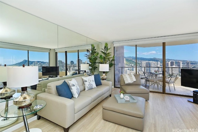 living room with floor to ceiling windows, plenty of natural light, and light wood-type flooring