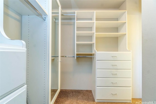 walk in closet with carpet floors