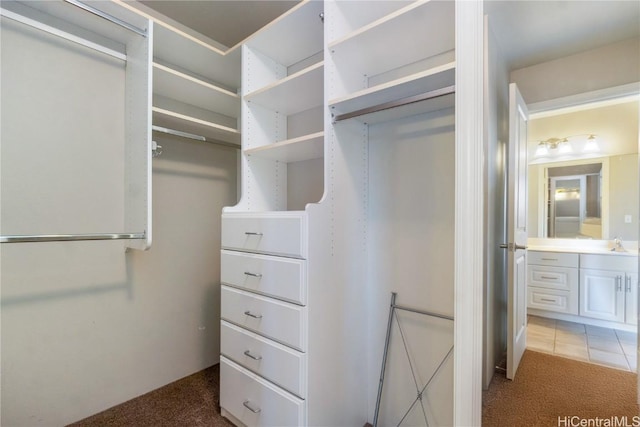 walk in closet featuring carpet floors and sink