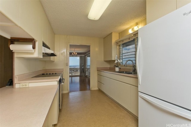 kitchen with white fridge, sink, black electric cooktop, and a textured ceiling