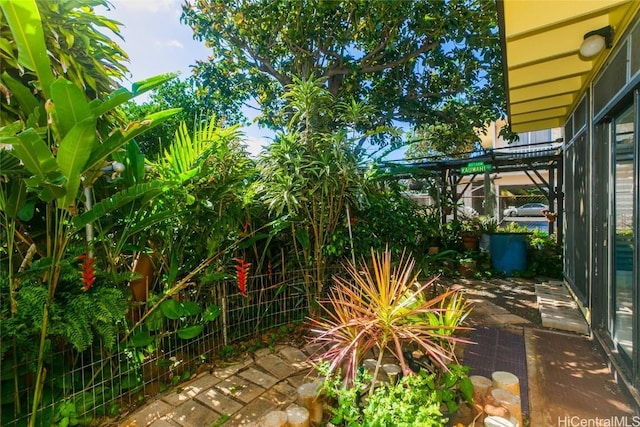 view of yard featuring a patio