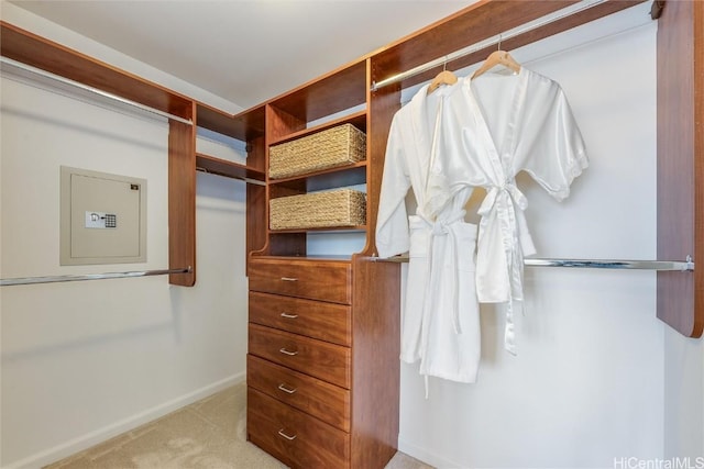 spacious closet with light carpet