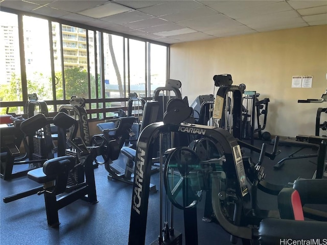 exercise room with a paneled ceiling and expansive windows