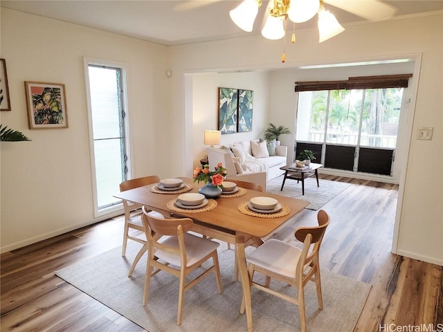 dining area with ceiling fan and hardwood / wood-style floors