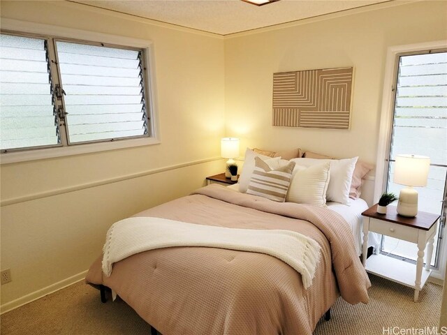 carpeted bedroom with crown molding