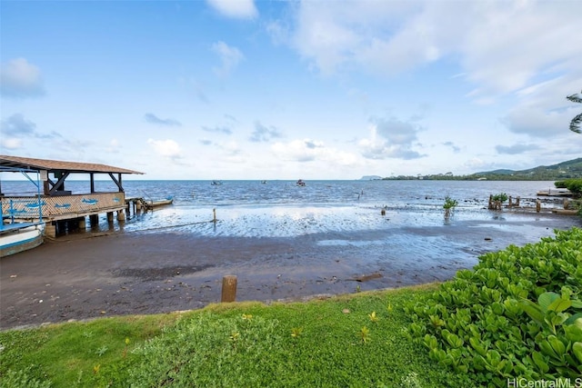 dock area with a water view