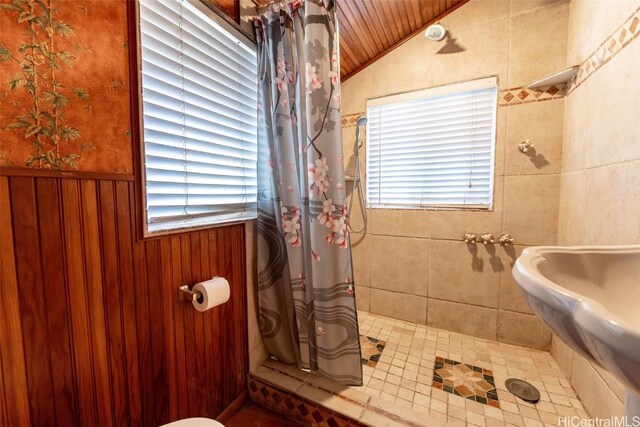 full bath featuring lofted ceiling, a shower stall, a wainscoted wall, and a wealth of natural light