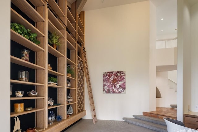 wine room with carpet floors