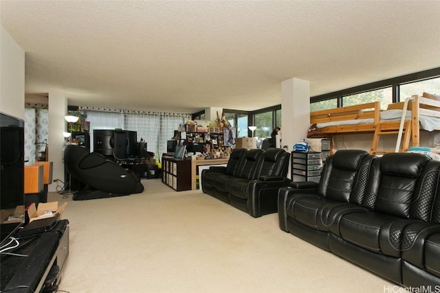 carpeted living room with a textured ceiling