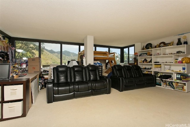 living room featuring a mountain view, carpet, and a textured ceiling