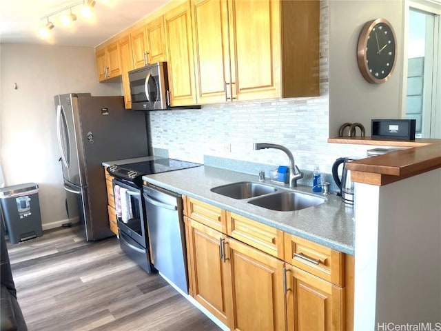 kitchen featuring hardwood / wood-style flooring, appliances with stainless steel finishes, sink, and backsplash