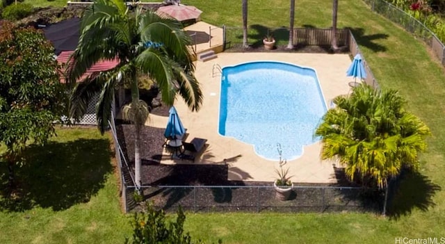 view of swimming pool with a yard and a patio area