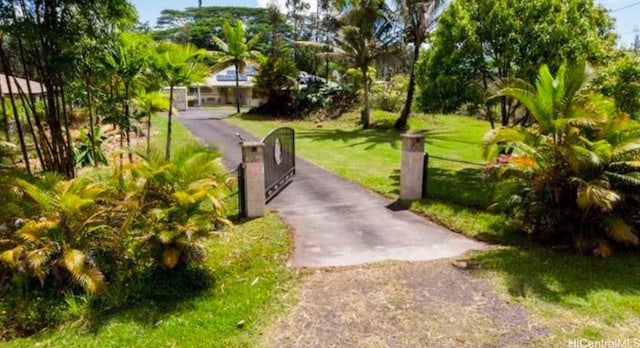 view of home's community with a yard