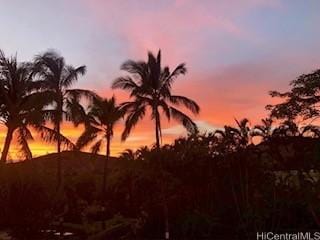 3050 Ala Poha Pl Unit W2, Honolulu, HI 96818 - view of undeveloped land