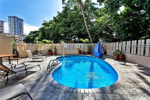 view of swimming pool with a patio