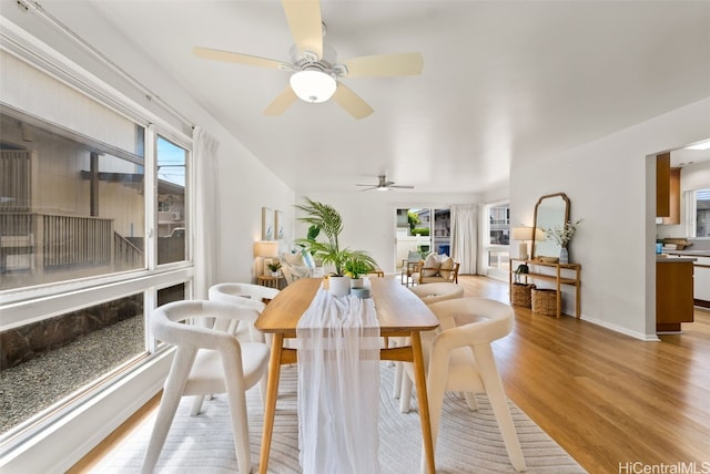 dining room featuring hardwood / wood-style floors and ceiling fan