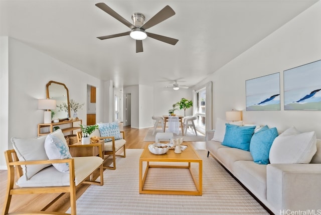 living room with ceiling fan and light wood-type flooring