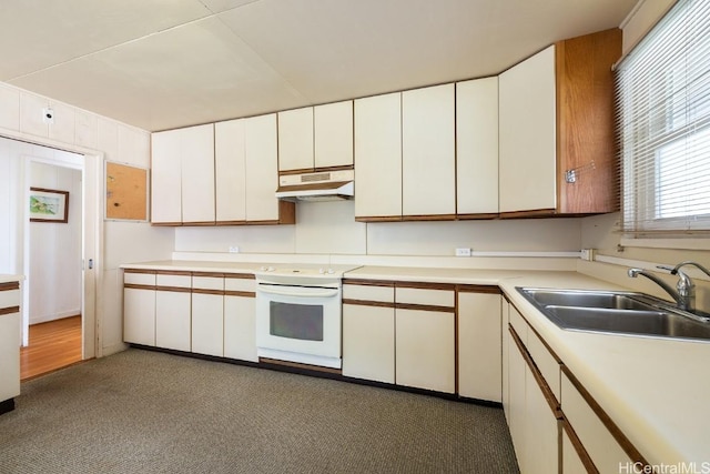 kitchen featuring under cabinet range hood, a sink, white cabinetry, light countertops, and white electric range oven